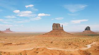 ネット人のストレスを消すセロトニンとは？