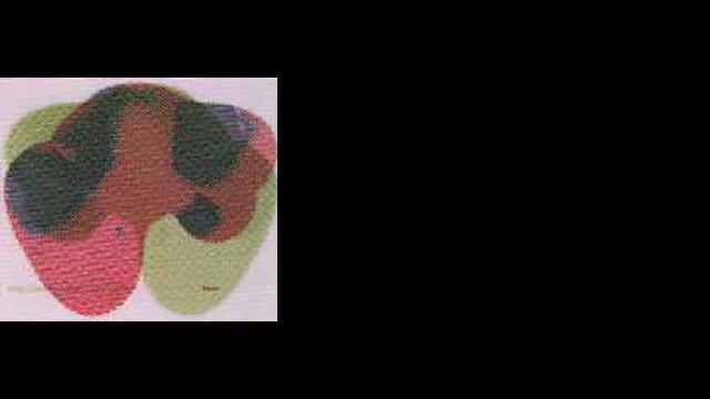 フランツ・カフカのサウスアメリカ