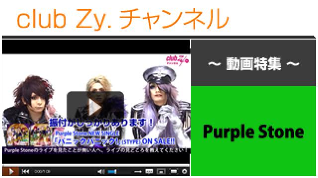 Purple Stone動画③（ライブの見所） #日刊ブロマガ！club Zy.チャンネル