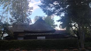 東北へ行こう！紅葉ガイド～世界遺産中尊寺・角館 篇～