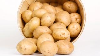 意外と知らない野菜の歴史　～ジャガイモ編～