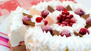 クリスマス、ホームパーティーに！ひんやり美味しいクリスマス限定・アイスクリームケーキをチェック