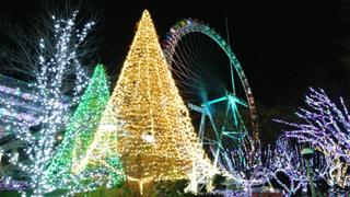 宝石色の輝きに魅了されること間違いなし！よみうりランドのジュエルミネーションがスゴイ！！