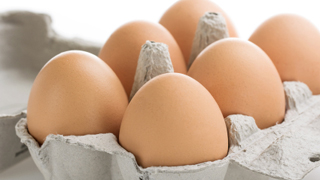 卵を使ったお弁当作りが超スピーディーに！レンジでチンッな卵クッキング４アイテムをご紹介！