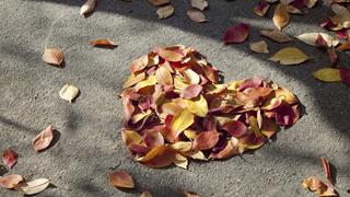 何度でも観たくなる！ロマンチックな秋におすすめのラブストーリー映画まとめ