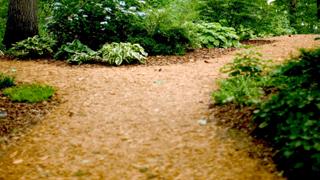 ココが違う！恋の駆け引き、失敗と成功の分かれ道