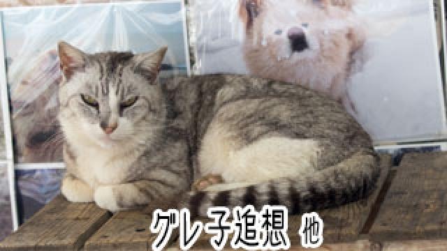 【わさお通信：特別増刊】 グレ子追想 他