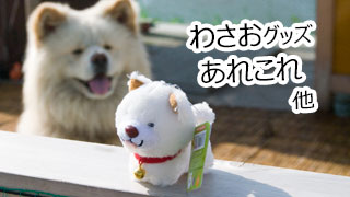 【わさお通信：特別増刊 2013-02】わさおグッズあれこれ、他