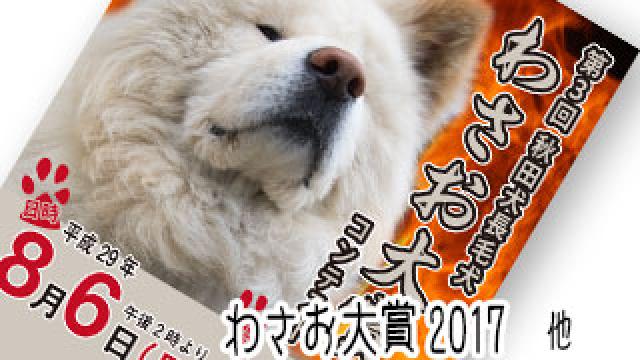 【わさお通信：特別増刊】 わさお大賞2017 他