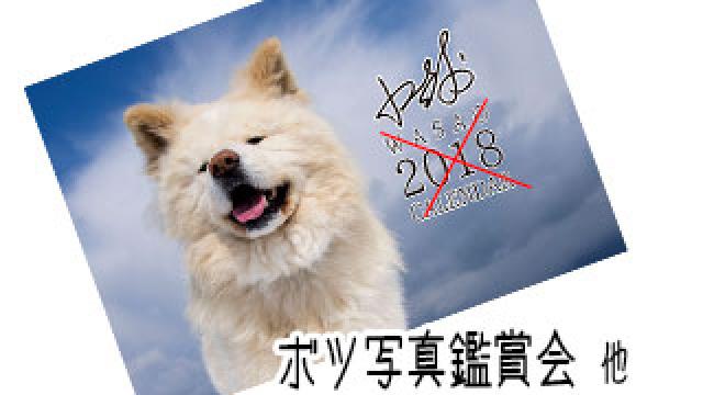 【わさお通信：特別増刊】 ボツ写真鑑賞会 他