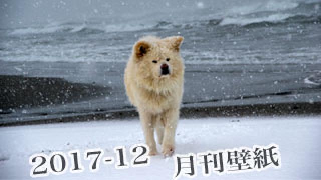 【わさお通信：特別増刊 2017-12】月刊わさお壁紙