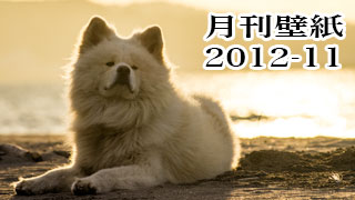 【わさお通信：特別増刊 2012-11】月刊わさお壁紙