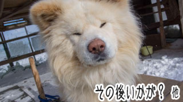 【わさお通信：特別増刊】 その後いかが？ 他