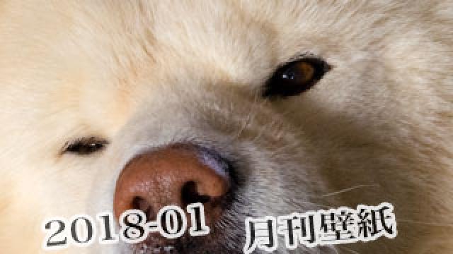 【わさお通信：特別増刊 2018-01】月刊わさお壁紙