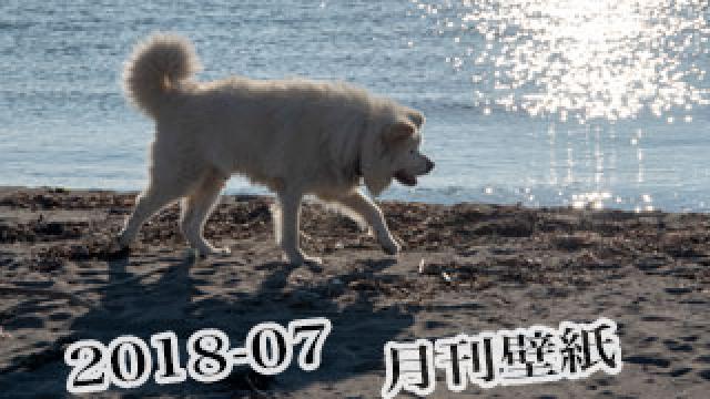 【わさお通信：特別増刊 2018-07】月刊わさお壁紙