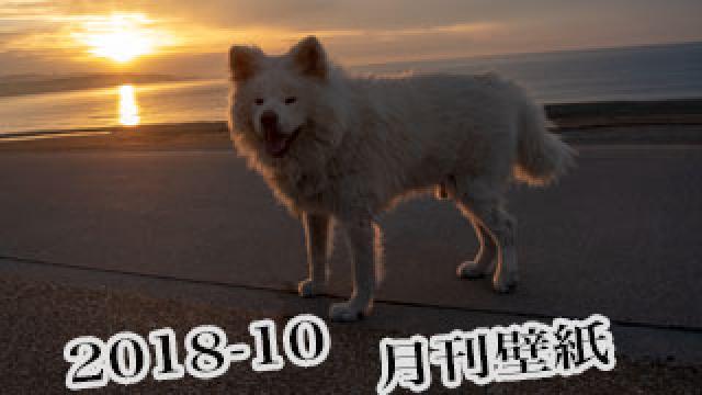 【わさお通信：特別増刊 2018-10その2】月刊わさお壁紙