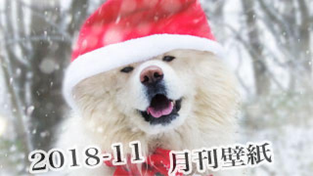 【わさお通信：特別増刊 2018-11】月刊わさお壁紙