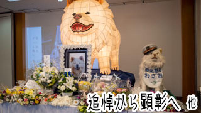 【わさお通信：特別増刊】 追悼から顕彰へ 他