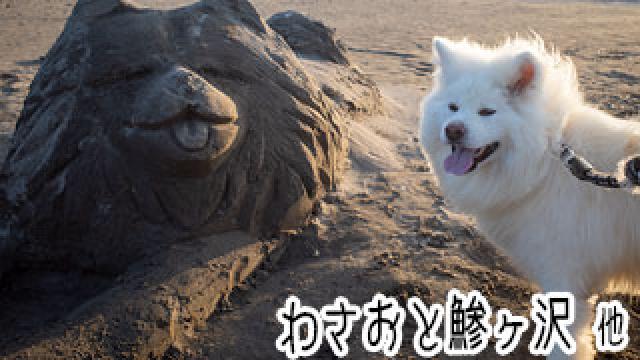 【わさお通信：特別増刊】 わさおと鰺ヶ沢 他