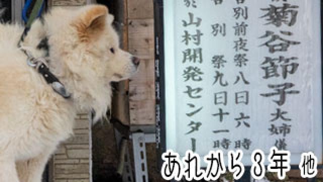 【わさお通信：特別増刊】 あれから3年 他