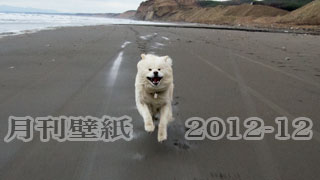 【わさお通信：特別増刊 2012-12】月刊わさお壁紙