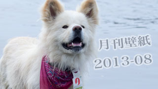 【わさお通信：特別増刊 2013-08】月刊わさお壁紙