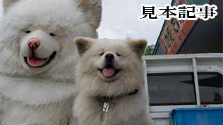 【わさお通信：特別増刊 サンプル号】お試し見本記事 全文閲覧可能