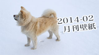 【わさお通信：特別増刊 2014-02】月刊わさお壁紙