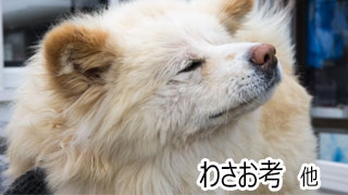 【わさお通信：特別増刊】わさお考… 他