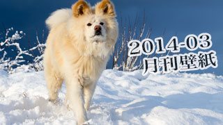 【わさお通信：特別増刊 2014-03】月刊わさお壁紙