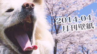 【わさお通信：特別増刊 2014-04】月刊わさお壁紙