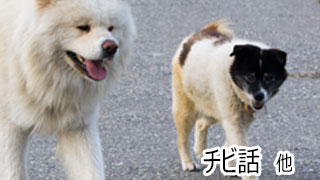 【わさお通信：特別増刊】チビ話 他