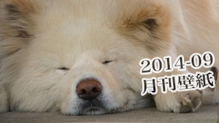 【わさお通信：特別増刊 2014-09】月刊わさお壁紙