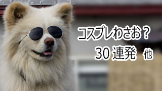 【わさお通信：特別増刊】コスプレわさお？30連発 他