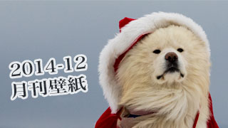 【わさお通信：特別増刊 2014-12】月刊わさお壁紙