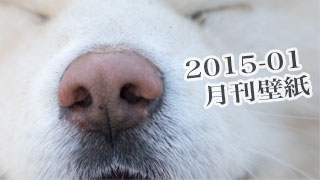 【わさお通信：特別増刊 2015-01】月刊わさお壁紙