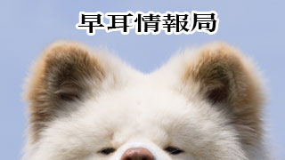 【わさお通信：特別増刊】チャンネル無料化につきまして