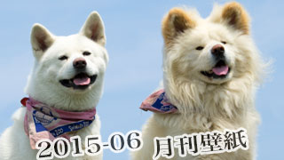 【わさお通信：特別増刊 2015-06】月刊わさお壁紙