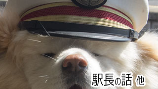 【わさお通信：特別増刊】駅長の話 他