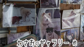 【わさお通信：特別増刊】わさおのギャラリー 他