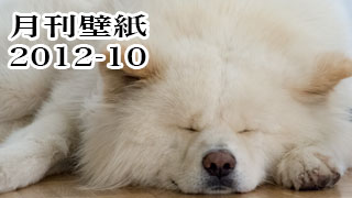 【わさお通信：特別増刊 2012-10】月刊わさお壁紙