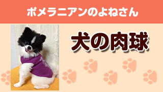 犬の肉球 Part5（投稿画像：ポメラニアンのよねさん）