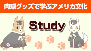 【Study】肉球グッズで学ぶアメリカ文化