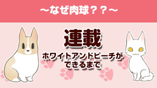 【連載】ホワイトアンドピーチができるまで～なぜ肉球？？～