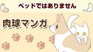 肉球マンガ「ベッドではありません」