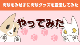 肉球をみせずに肉球グッズを宣伝してみた