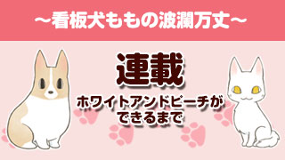 【連載】ホワイトアンドピーチができるまで～看板犬ももの波瀾万丈～