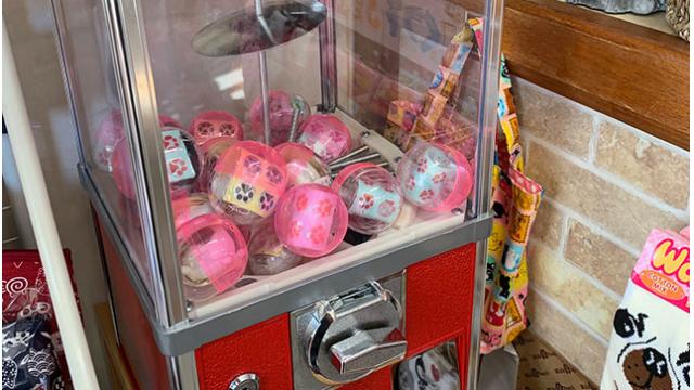 ガチャガチャを置いてみました♪