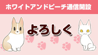 ニコニコチャンネル開設しました