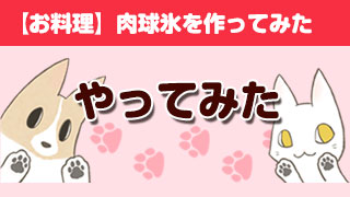 【お料理】肉球氷を作ってみた